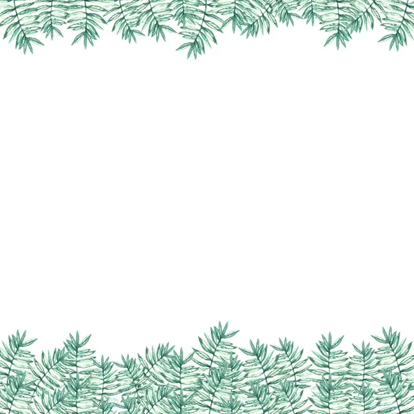 Yeşil mavi bitkiler doğa süsleme dekorasyon çerçeveleme suluboya dalları beyaz arka plan karede izole bırakır — Stok fotoğraf