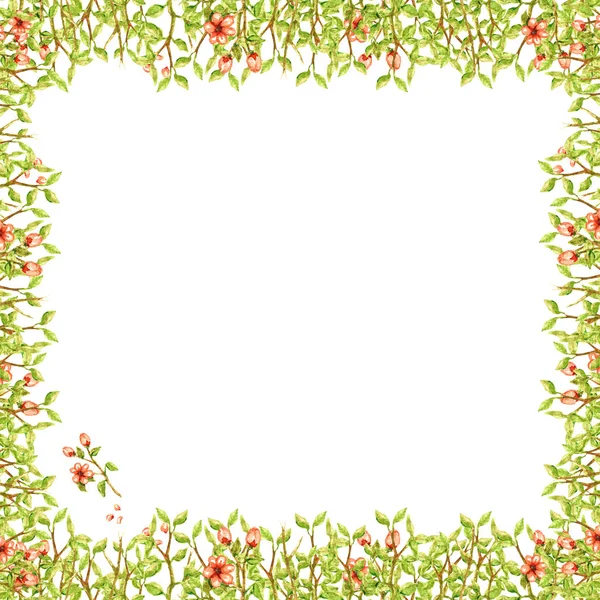 Aquarel frame plein van dunne takken met groene bladeren en inschrijving licht perzik oranje bloemen met bloemblaadjes mooie geïsoleerd op witte achtergrond — Stockfoto