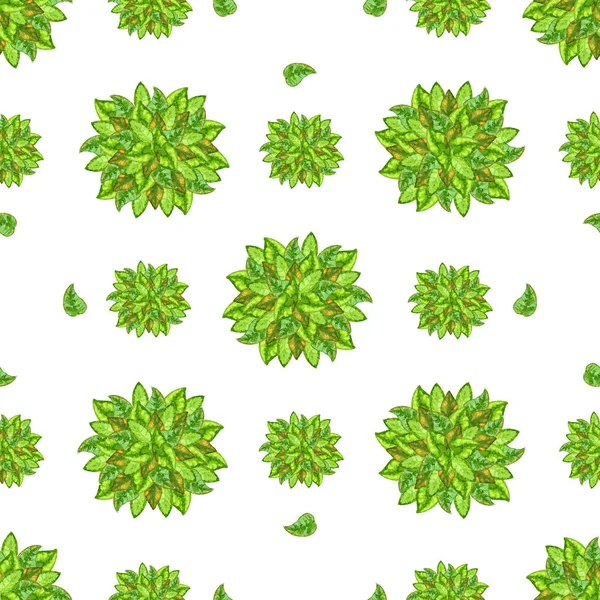 Seamless watercolor pattern of vivid beautiful round leaves compositions summer nature texture background on a white background — Stock Photo, Image
