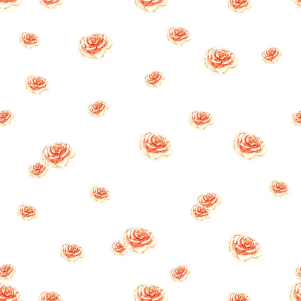 Fondo de la repetición de rosas de té naranja melocotón Patrón sin costura ligero aislado sobre fondo blanco — Foto de Stock