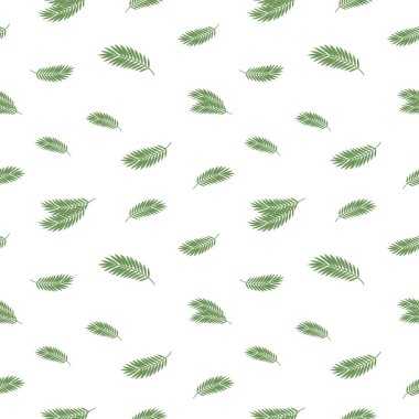 Beyaz arka planda tropik bir palmiye ağacının oyulmuş yeşil yapraklarının kusursuz vektör deseni.
