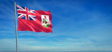 Bermuda Ulusal Bayrağı