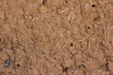 wooden texture and pattern Rocky and sandy textured used for con