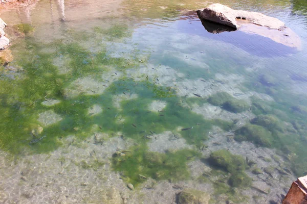 Mar ou vista mar da praia de Omã, águas profundas com rochas, belos papéis de parede e fundos, natureza e água, peixes e água — Fotografia de Stock