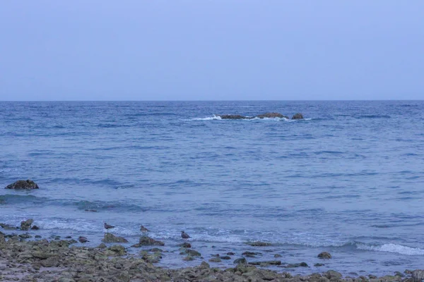 Aiguas Blanques Água branca Praia de Ibiza com água azul-turquesa — Fotografia de Stock