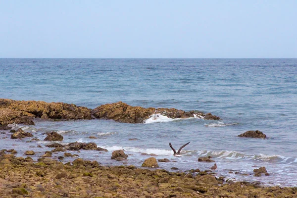 Aiguas Blanques Agua blanca Ibiza spiaggia con acqua turchese su — Foto Stock