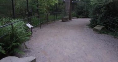 Çitle ağaçlar arasındaki Mud yolu manzarası boş. Amsterdam 'ın hayvanat bahçesinde iki tarafta da ağaçlar var.