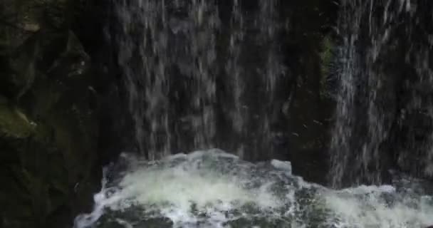 Waterblazen Waterval Van Rotterdamse Dierentuin Prachtig Uitzicht Dieren Vogels Die — Stockvideo