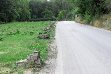 Orman ve ağaçlar arasındaki yol bomboş. Stuttgart Almanya 'sında her iki tarafta da ağaçlar var.