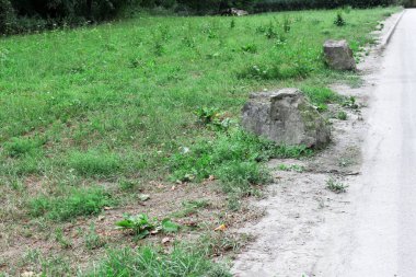 Yaz mevsiminde yol kenarında küçük bitkiler ve taşlar küçük bitkiler ve küçük yapraklar ve yeşil yapraklar.