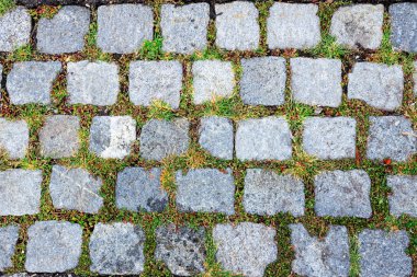 Hırvatistan 'ın Dubrovnik kentindeki kalenin duvar dokusu yeşil çimlere sahip