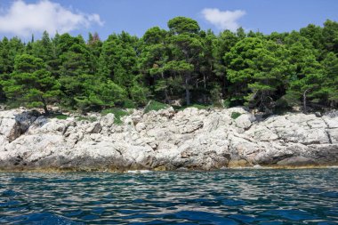 Dubrovnik deniz manzarası uçurum ve kayalıklarla okyanusun ortasından kayalara su sıçrıyor.