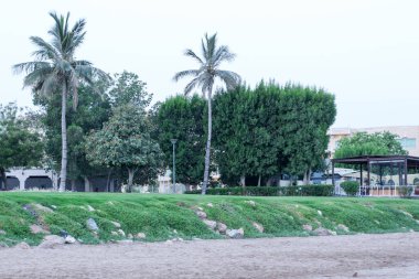 Umman 'daki kumlu sahil boyunca ağaçların ve modern bir yapının olduğu huzurlu bir manzara.