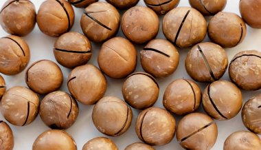 Kabuktaki Macadamia fındıkları beyaz arka planda izole edilmiş..