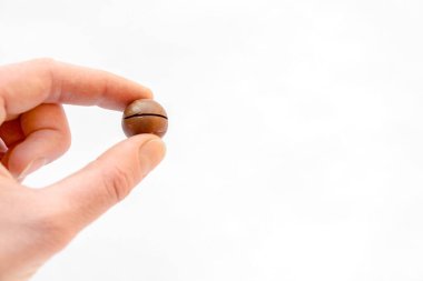El ele tutuşan Macadamia cevizi beyaz arka planda izole edilmiş, yakın plan ve yumuşak odak.