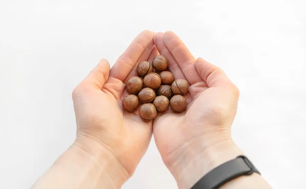 Macadamia fındıkları, beyaz izole bir arka planda, yazmak için alanı olan yakın plan çekimde. Avucunun içinde bir avuç Avustralya fıstığı.