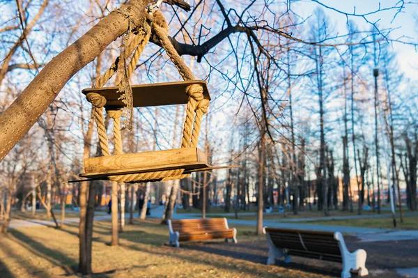 Birdhouse pour oiseaux sur un arbre dans le parc . — Photo