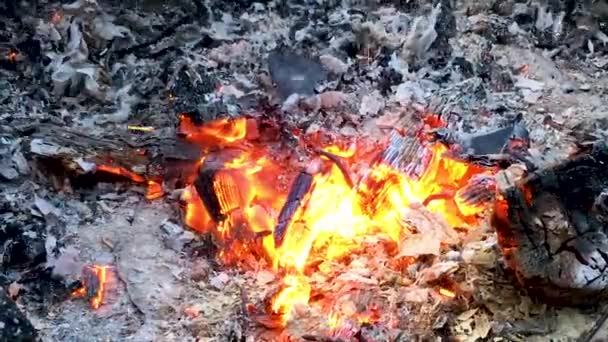 Doutnající Rudé Uhlíky Ohni Který Fouká Vítr Natáčel Zblízka Popel — Stock video