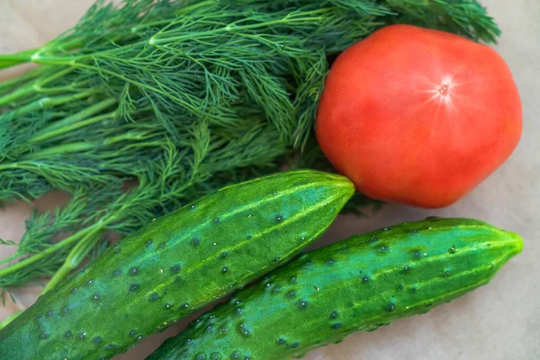 Eco-vegetables on a paper background close-up with a copy space. Tomatoes, cucumbers, dill top view. Soft focus. — Stock Photo, Image