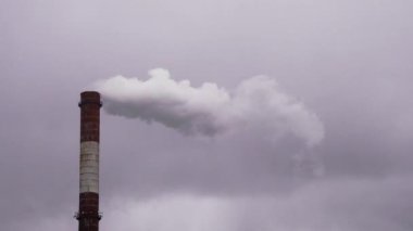 Baca kasvetli bir gökyüzüne karşı izole edilmiştir. Çevre kirliliği kavramı.