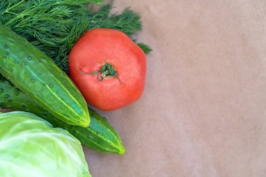 Fotokopi alanı olan yakın plan bir kağıtta eko-sebzeler. Domates, salatalık, dereotu manzaralı. Yumuşak odak.