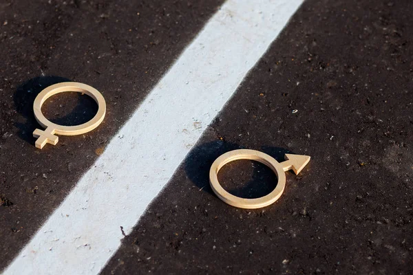 The concept of gender equality. Symbols of men and women of plywood on the pavement. The word equality is carved and plywood on asphalt.