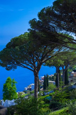 Ravello, Campania, İtalya Villa Rufolo bahçelerde tiren denizden Salerno Körfezi bakan kartpostal