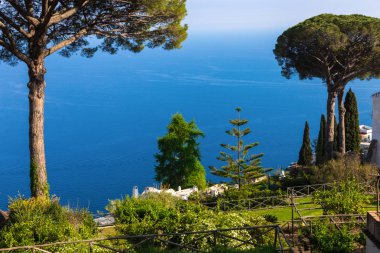 Yeşil bahçe ve Deniz Manzaralı resim kartpostal.