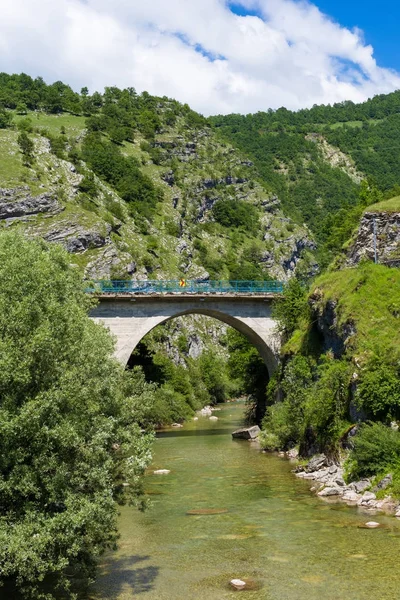 Mountain river and bridge and trees landscape natural environment. Savnik Montenegro