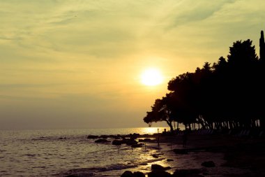 Gün batımı ve deniz arka planı ağaçlarının Silhouettes.