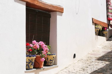 Pencere, Capileira İspanya sokaklarında saksılarla süslenmiş.