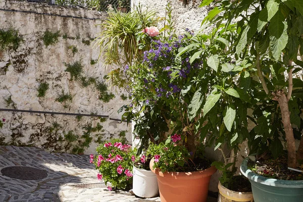 İspanya 'nın başkenti Capileira' da beyaz bir evin duvarında çiçek saksıları duruyor.. — Stok fotoğraf