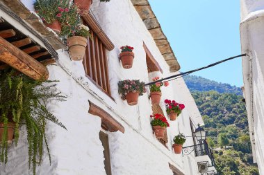 İspanya 'nın başkenti Capileira' da kiremitli çatılı beyaz bir evin duvarında çiçekli çömlekler var.