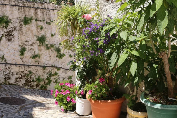 Spanya Nın Başkenti Capileira Beyaz Bir Evin Duvarında Çiçek Saksıları — Stok fotoğraf