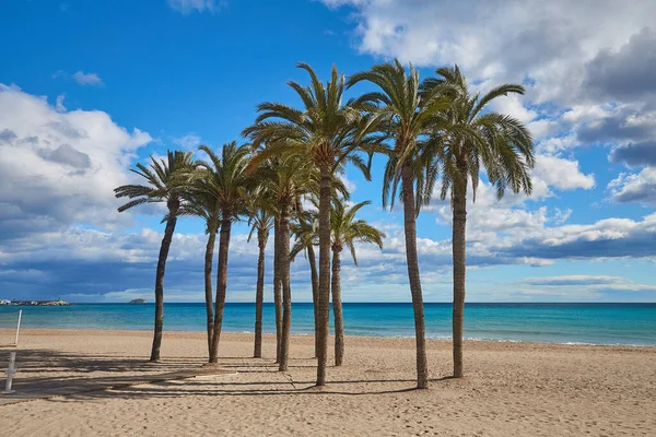 Palme sulla spiaggia sullo sfondo del mare e cielo blu con belle nuvole al sole. Villajoyosa, Spagna — Foto Stock