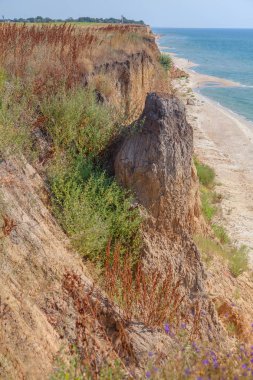 tropikal sunny beach