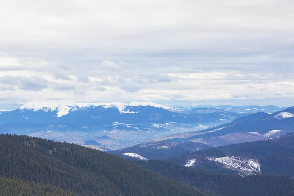 Panorama invernal de las montañas Cárpatas —  Fotos de Stock