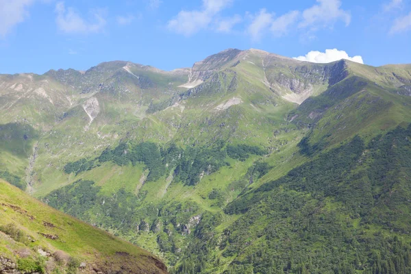 Yeşil dağ manzarası