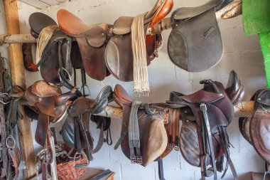 at saddles asılı