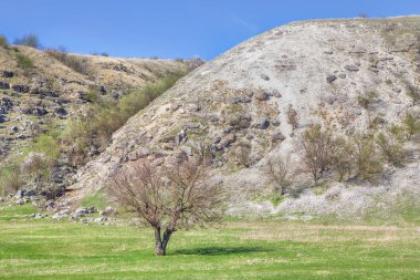 manzara güzel bahar