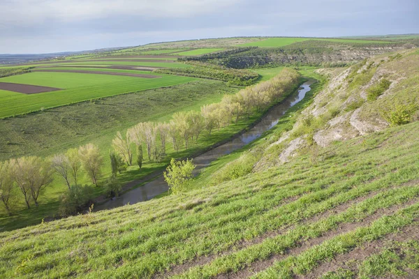 Весняні пейзажі з зеленою долиною — стокове фото