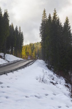 orman arasında asfalt yol ile kış manzarası