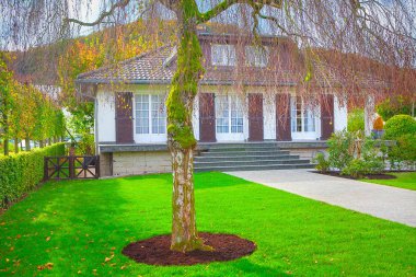 bahçede yeşil çim ile Avrupa tipik ev