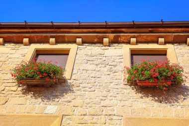 Çiçek saksısı olan pencereler