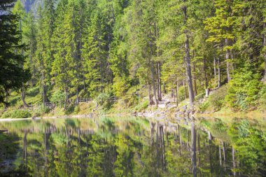 Yeşil iğne yapraklı orman ve göl ile görkemli doğal sahne 