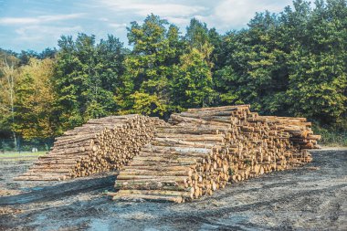 kesme günlükleri yığını ile ahşap sahne