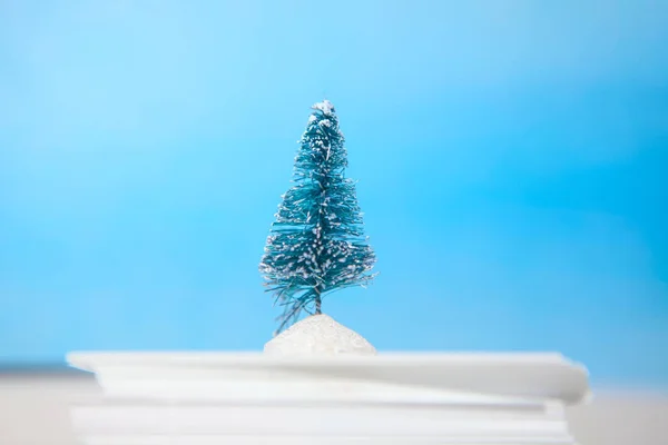 Νεκρή Φύση Χειμώνα Fir Tree Και Χαρτί Χιόνι — Φωτογραφία Αρχείου
