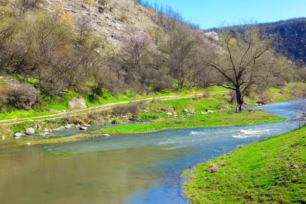 Erken Bahar Akan — Stok fotoğraf