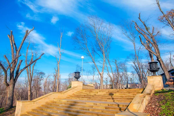 Каменные Лестницы Парке — стоковое фото