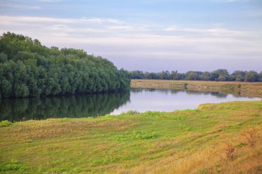 Nehirli yaz manzarası